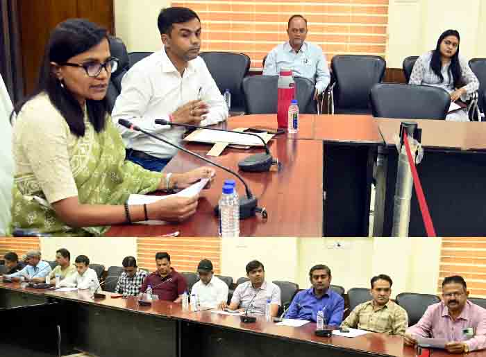 लोकसभा निर्वाचन-2024: कलेक्टर सुश्री ऋचा प्रकाश चौधरी ने ली जिले के मुद्रक एवं प्रकाशकों की बैठक