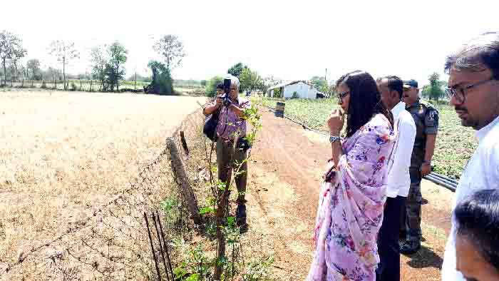 बारिश से हुई फसल नुकसान देखने कलेक्टर पहुंची खेतों में