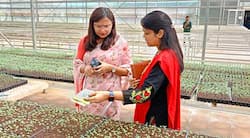 कलेक्टर सुश्री चौधरी ने की बीज प्रगुणन प्रक्षेत्र और एस.जे. फार्म का निरीक्षण